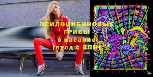 молекула духа Абинск