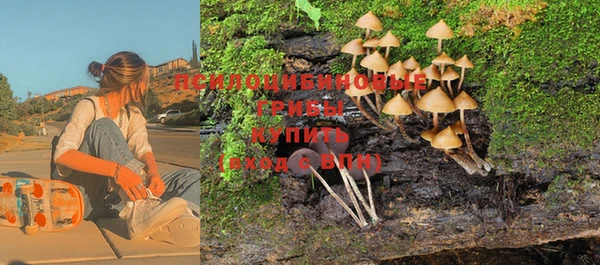 молекула духа Абинск
