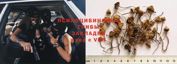 apvp Абдулино