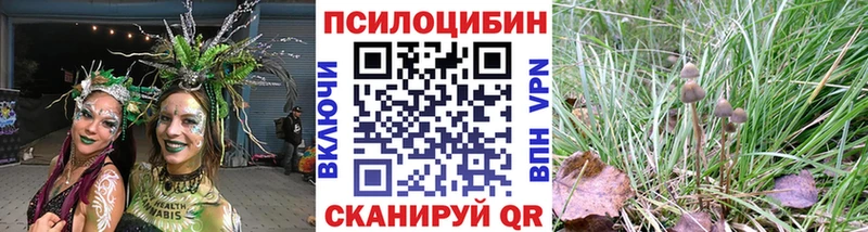 Галлюциногенные грибы Psilocybe  даркнет сайт  Химки 